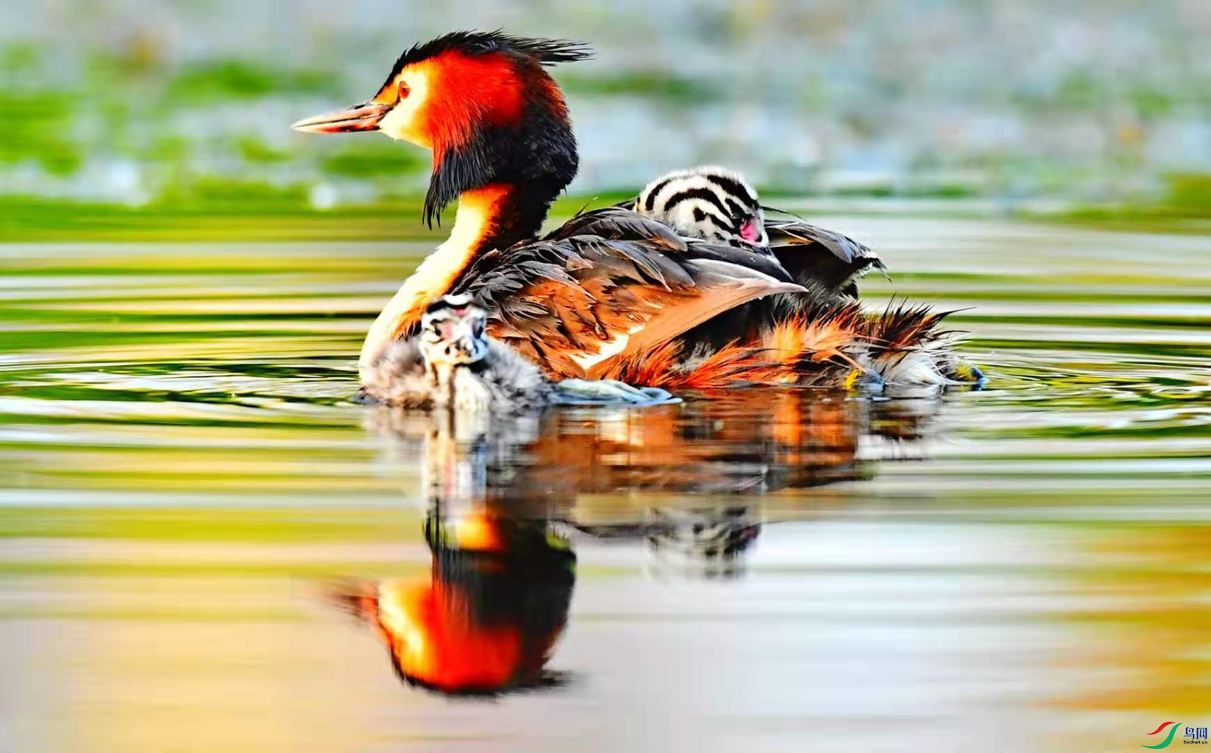 3f4ed8c4d2c5f35a1e9174f220178b2.jpg
