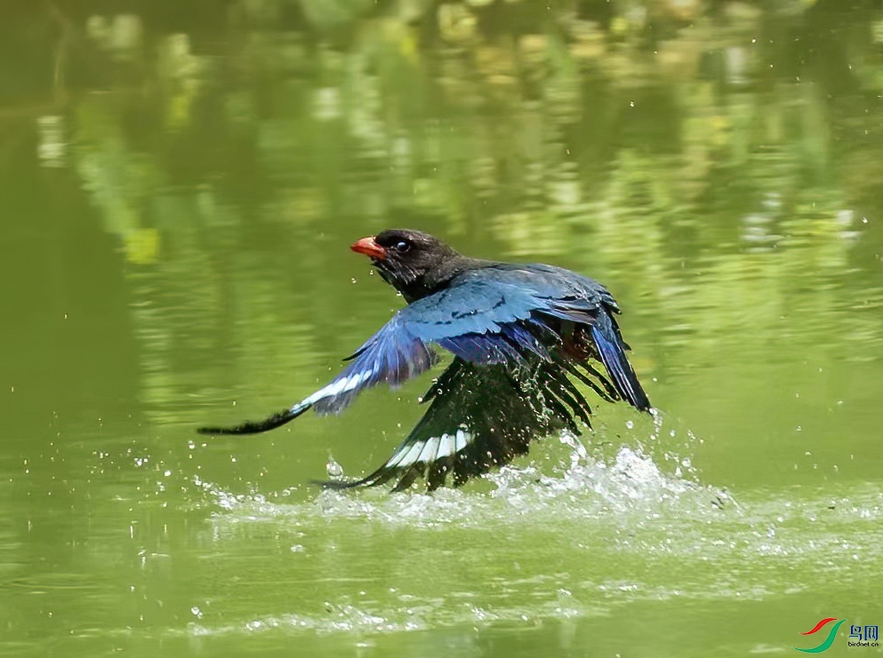 psc (11)������.jpg