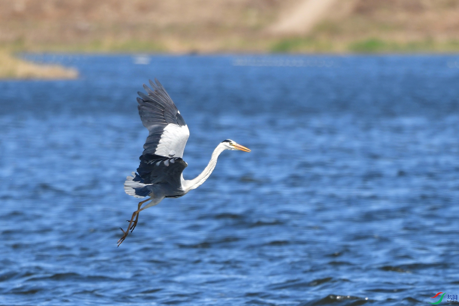 DSC_0175.jpg