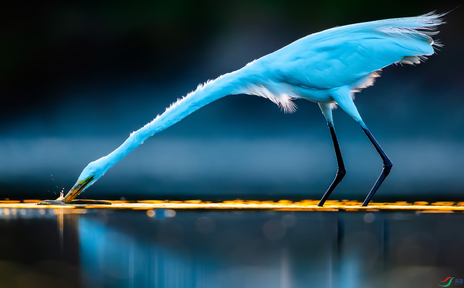 DSC_1798 (2)-6 ����.jpg