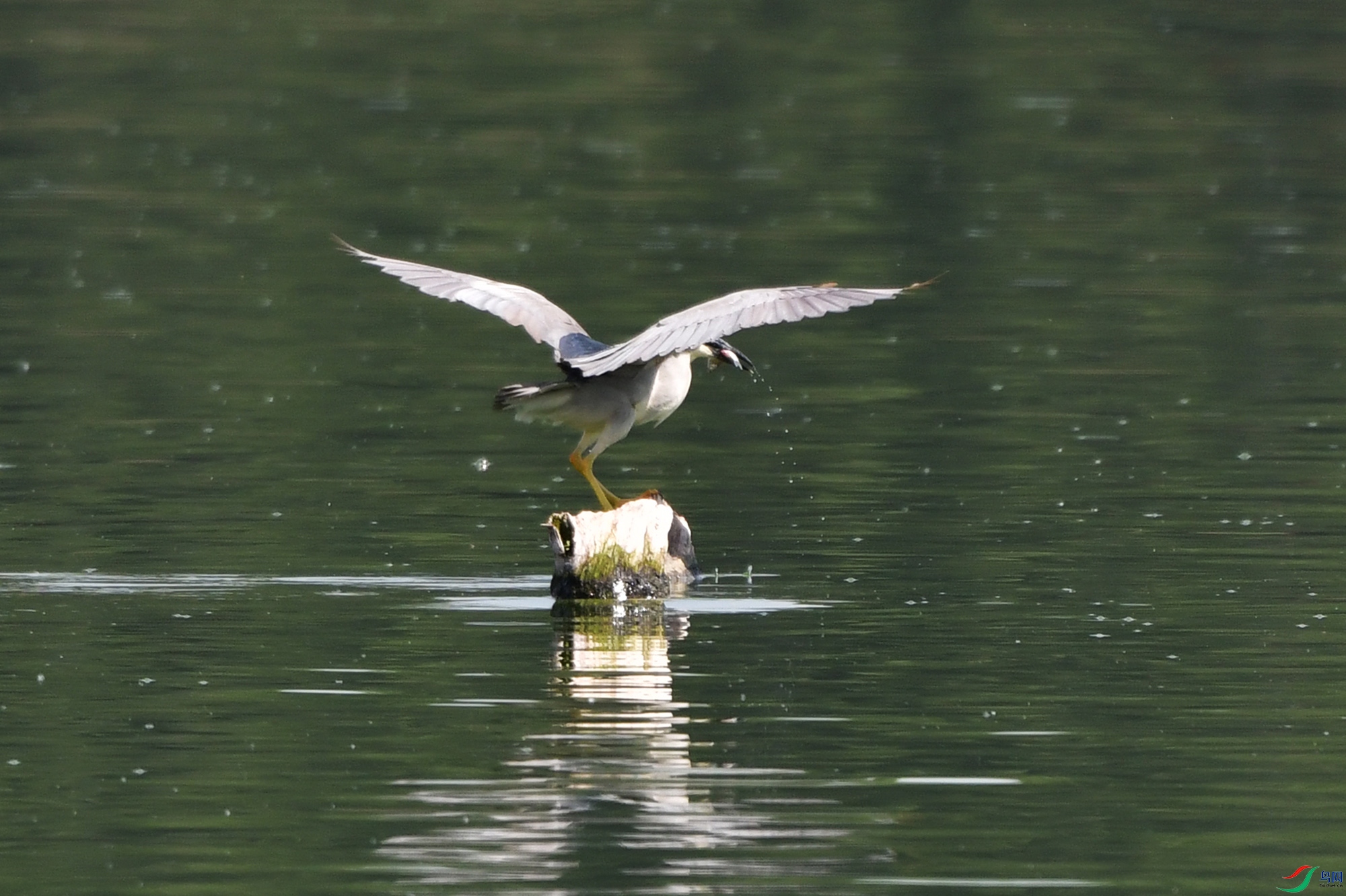 DSC_6423.jpg