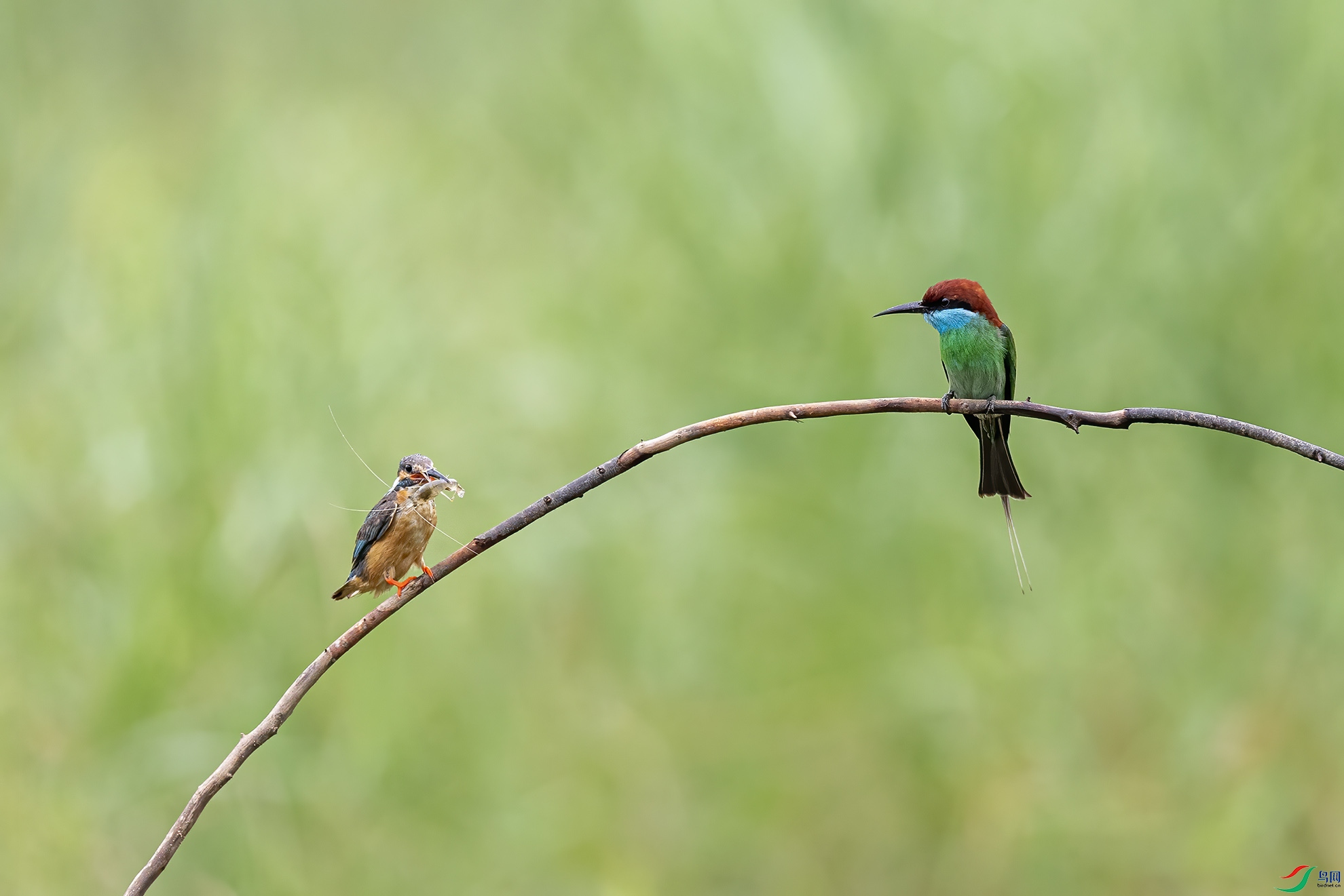 �۲�_8094694.jpg