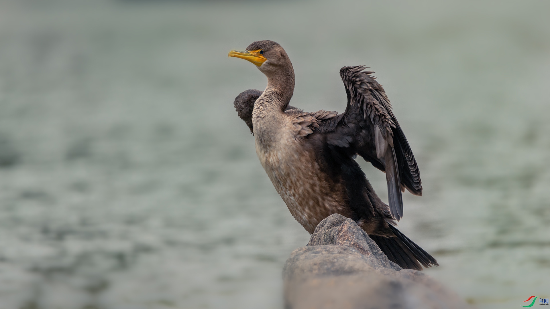 ͼ7_DSC1175---����.jpg