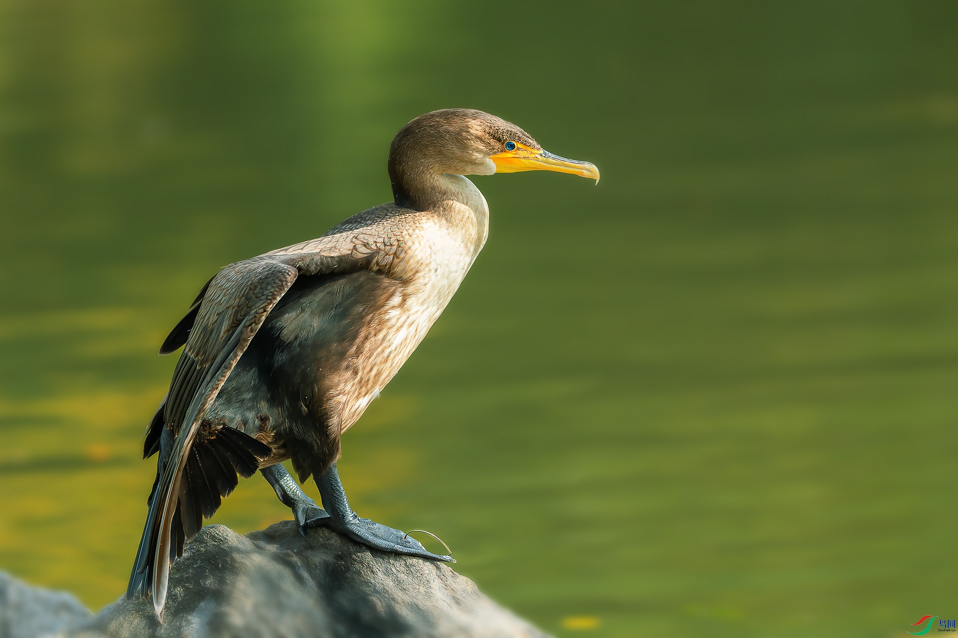 ͼ11_DSC0154 - ����_2.jpg