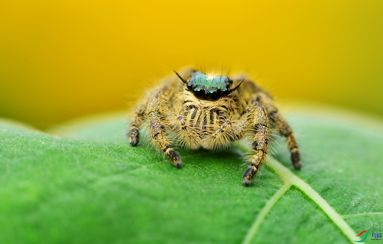 DSC_7718 ����.jpg