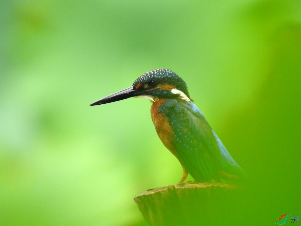 DSCN9813.JPG