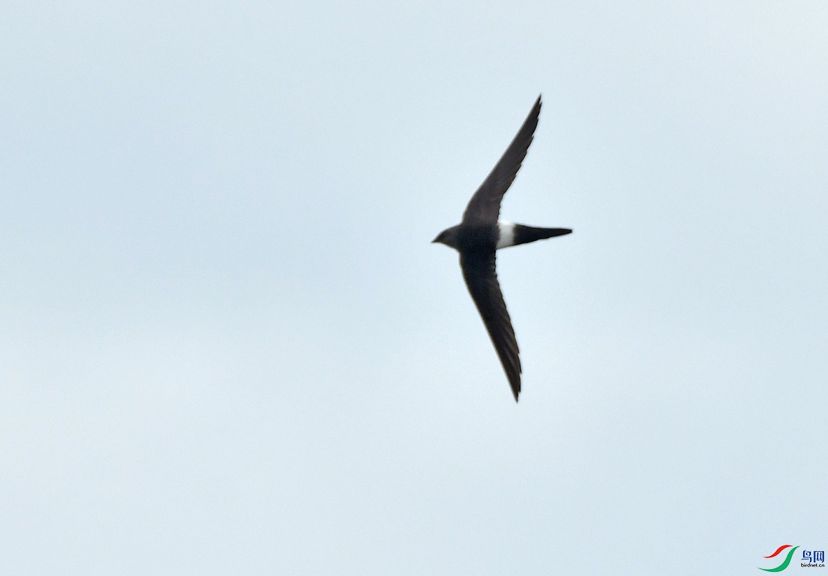 DSC_3718.JPG