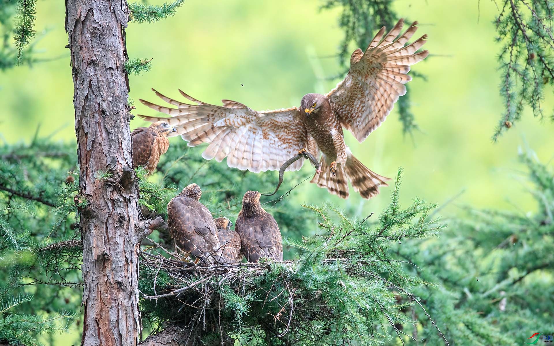 1DX_5926 ���� 2.jpg