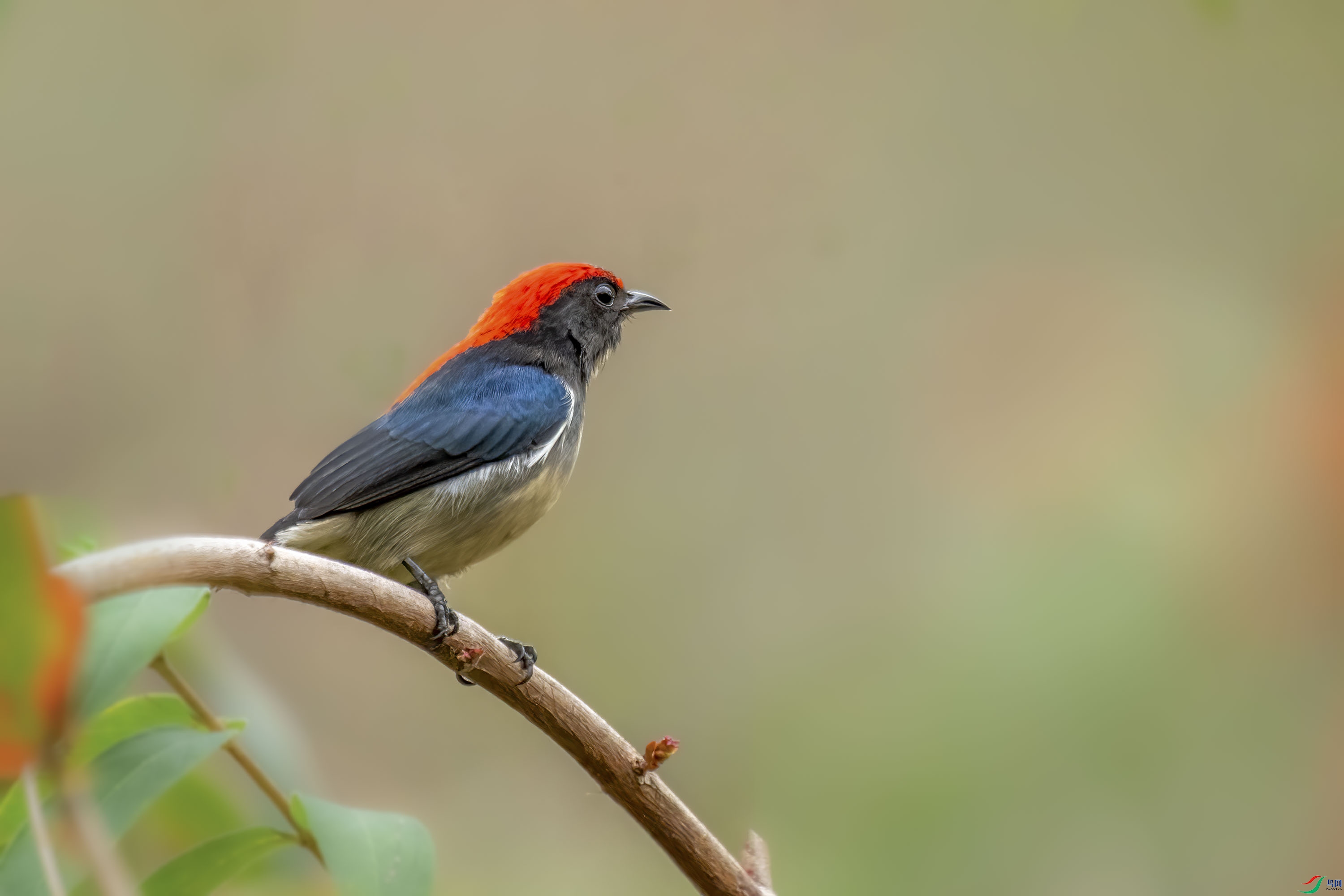 DSC_1262.jpg
