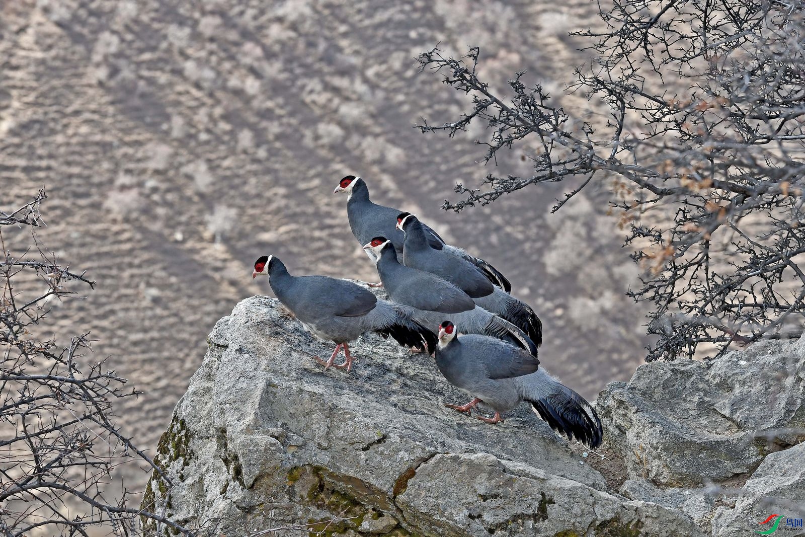DSC_5871.JPG
