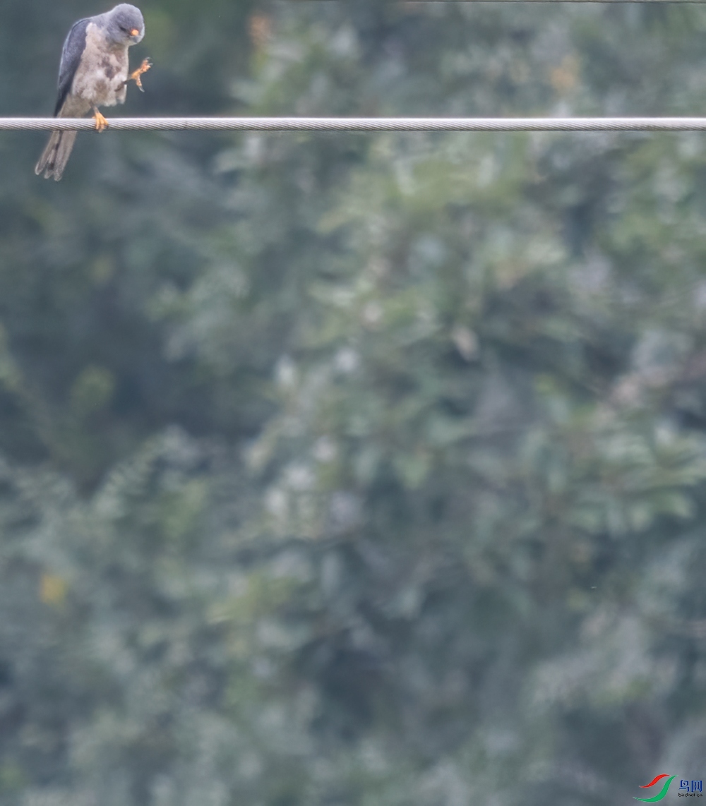 20210707-DSC_6344-900 mm-ISO 1100-5568 x 3712.jpg