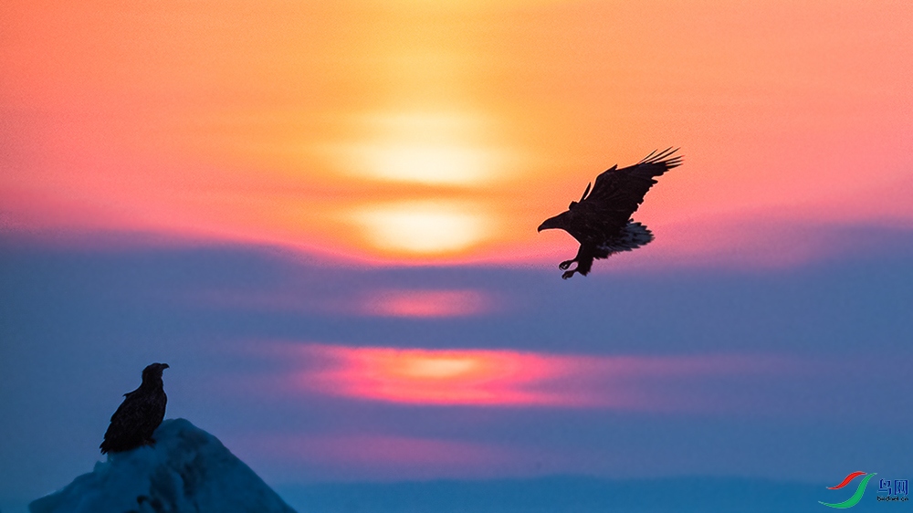 _DSC0548_��ͼ��.jpg