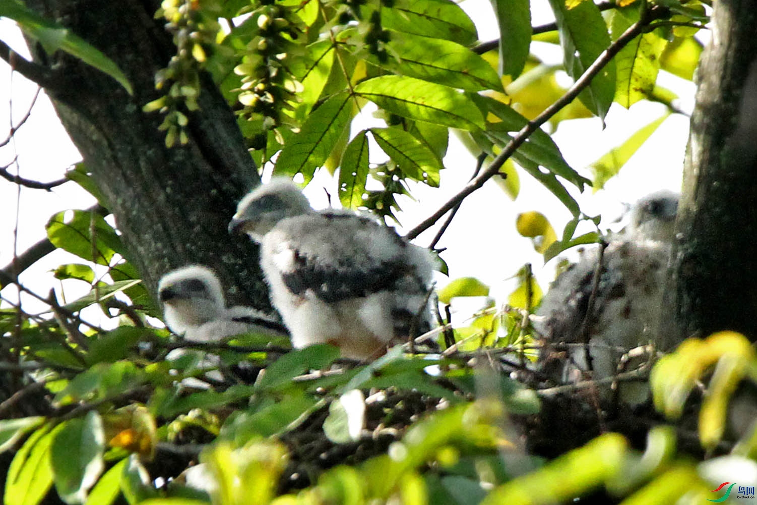 IMG_7268.jpg