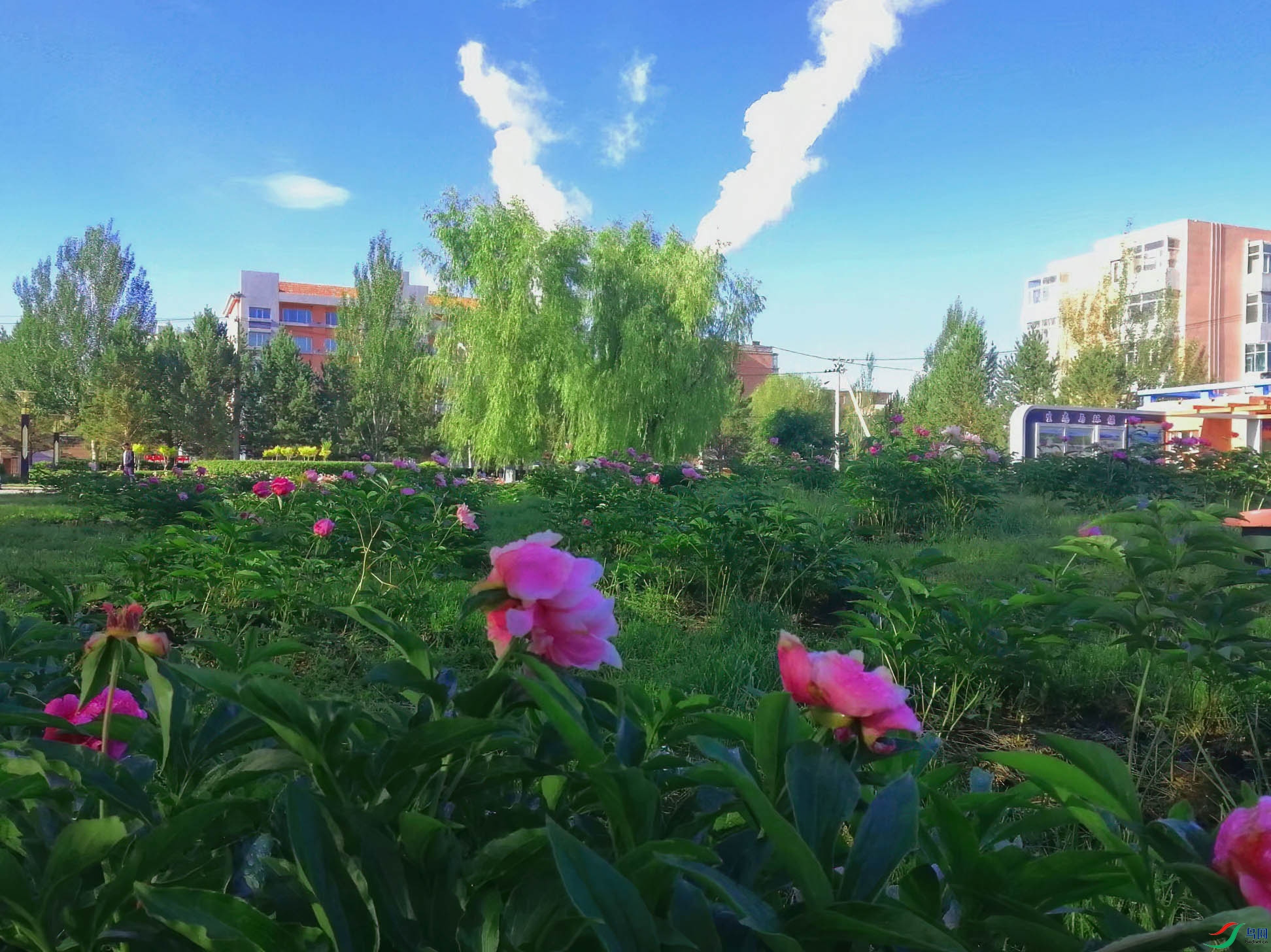 psc (10)���ֹ���.jpg