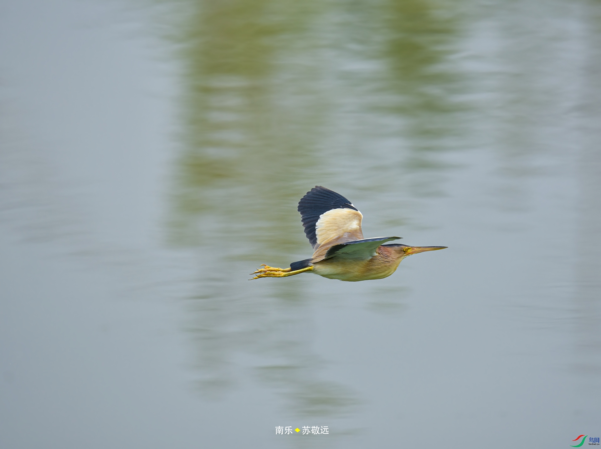 _DSC2549С.jpg