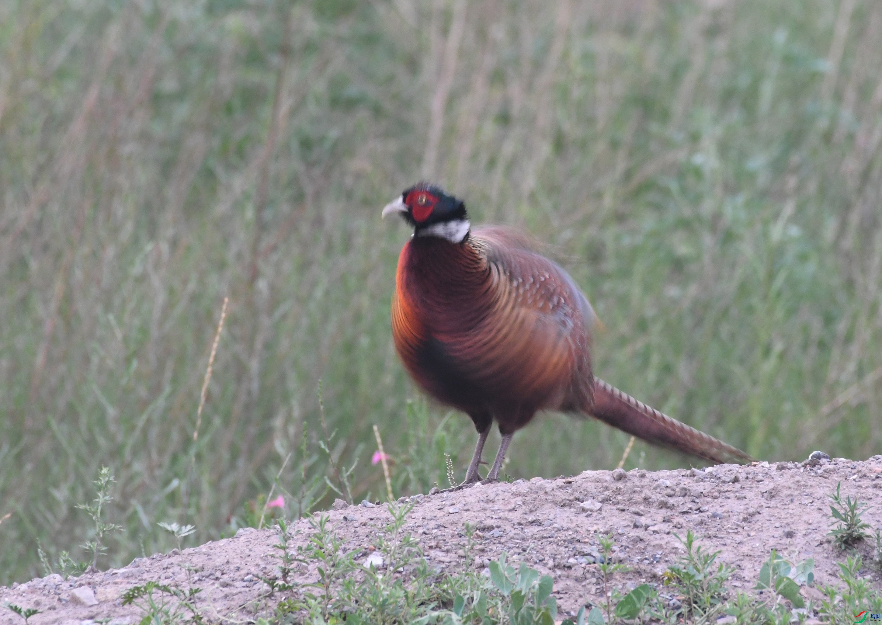 ������Ӱ 216����.jpg