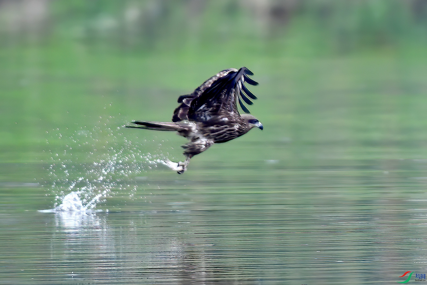 DSC_7877aa.jpg