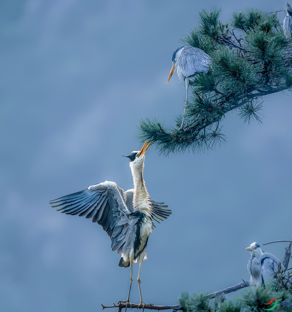 DSC_7756-1.jpg