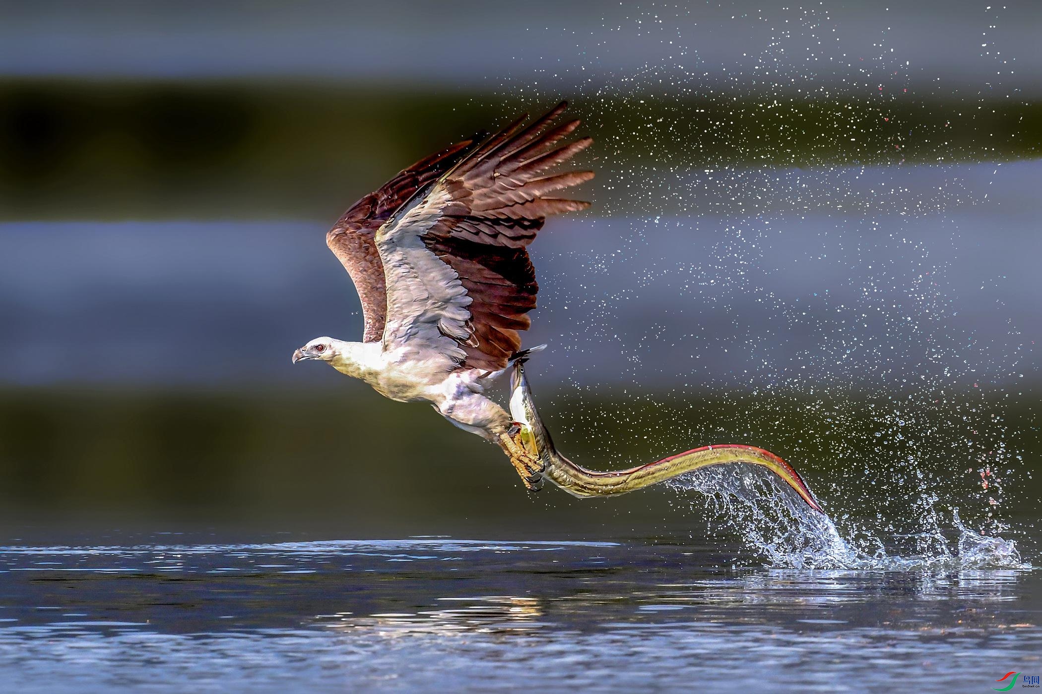 DSC_1201_���� (3)_����(1).jpg