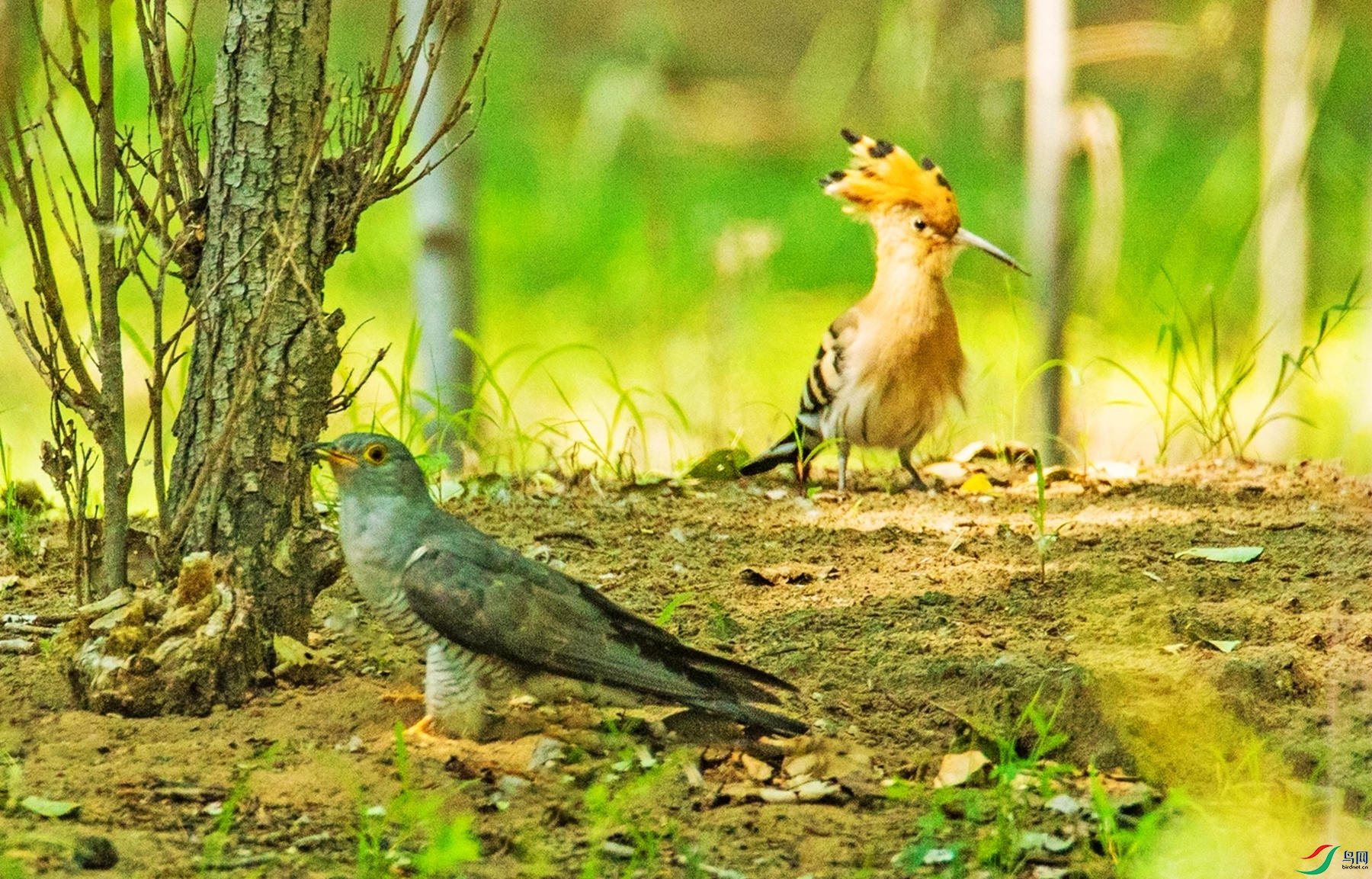 �����ദ.jpg