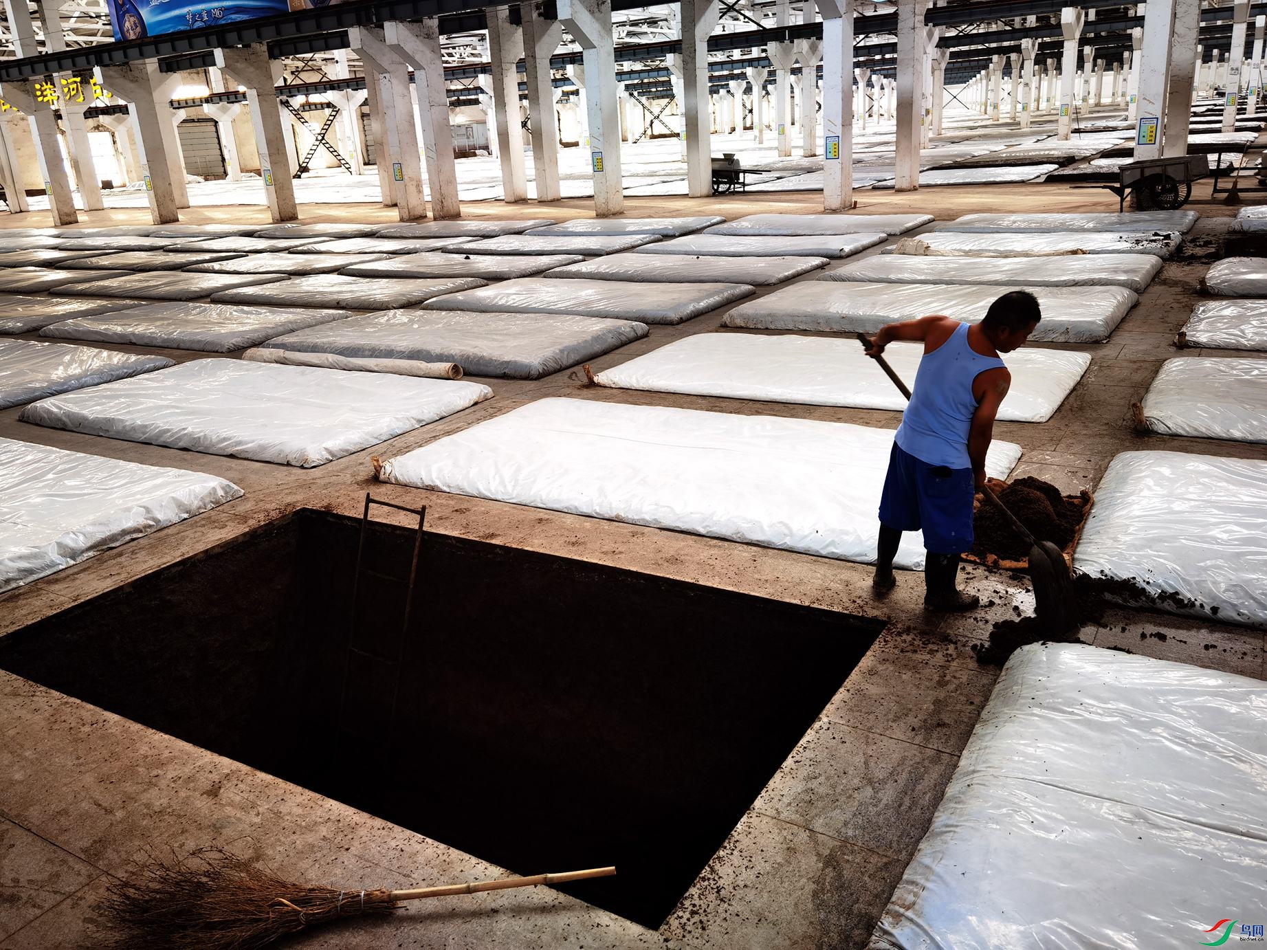 洋河酒厂31连跨酿酒厂房