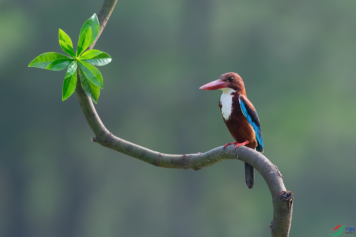 DSC_2246_DxOa.jpg
