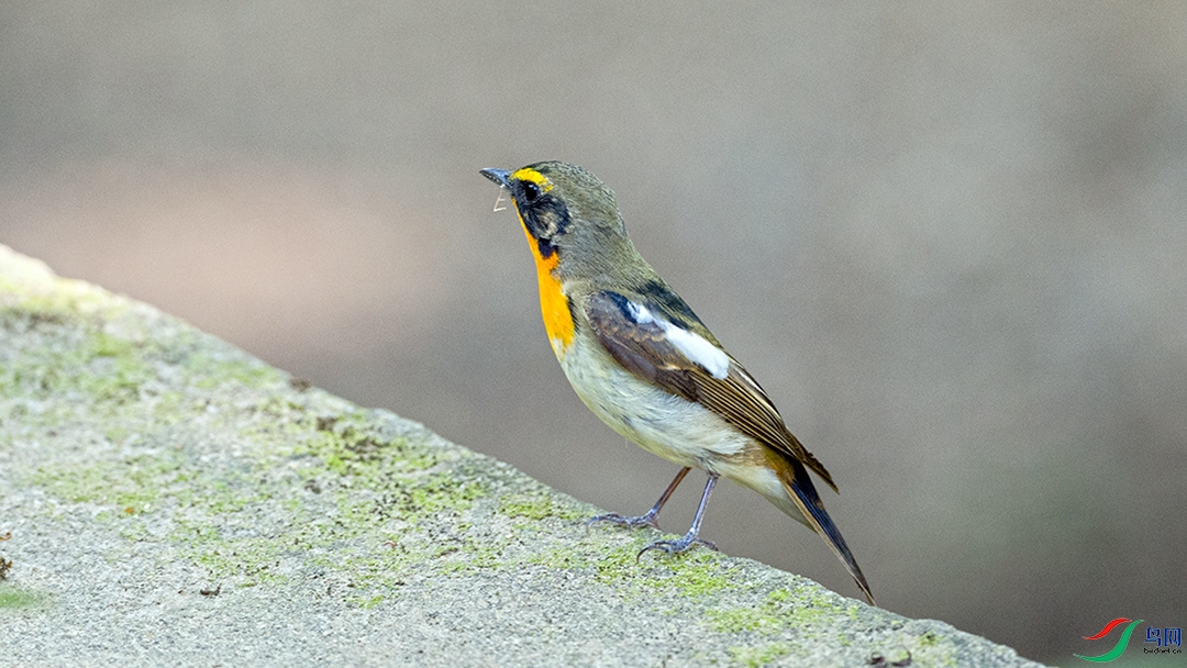 ��DSC_5264.jpg