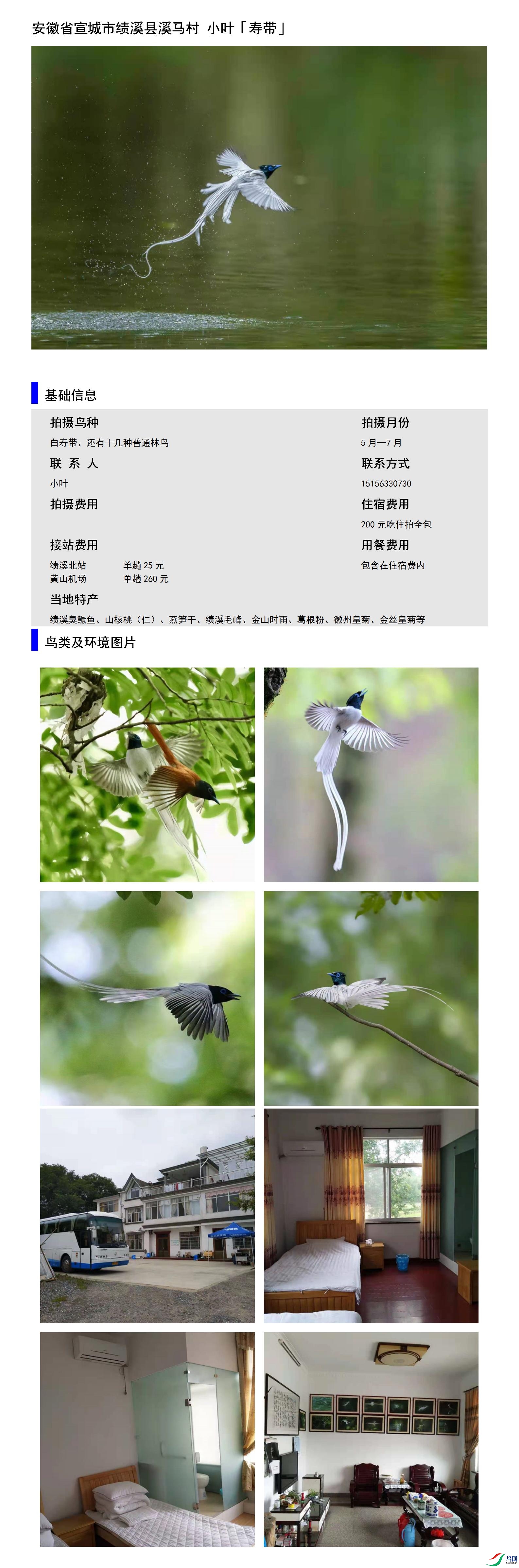 ����ʡ�����м�Ϫ��Ϫ���� СҶ15156330730.jpg