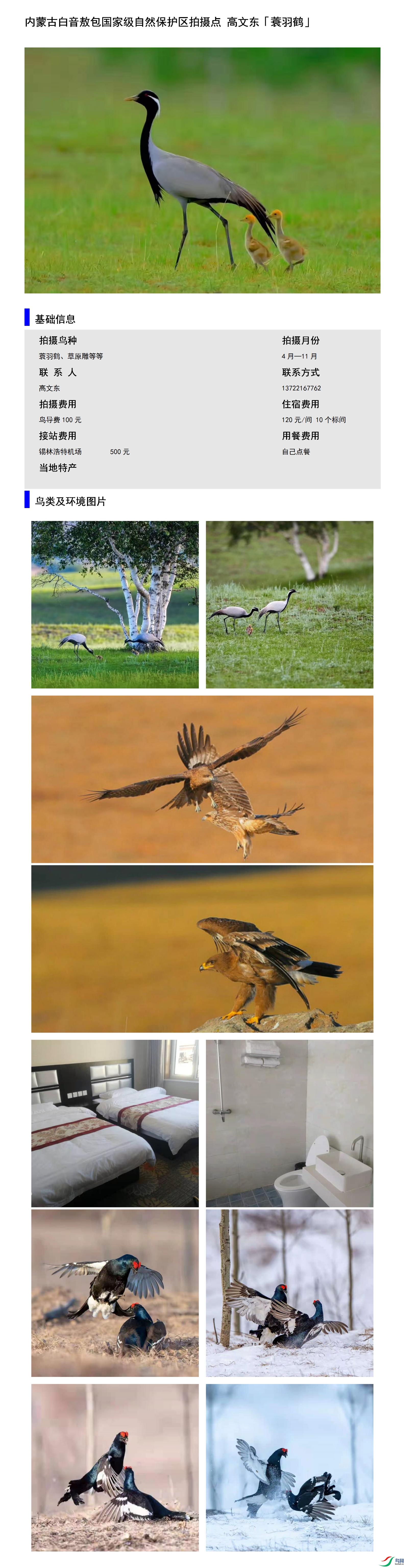 ���ɹŰ����������Ҽ���Ȼ���������������� ���Ķ�13722167762.jpg