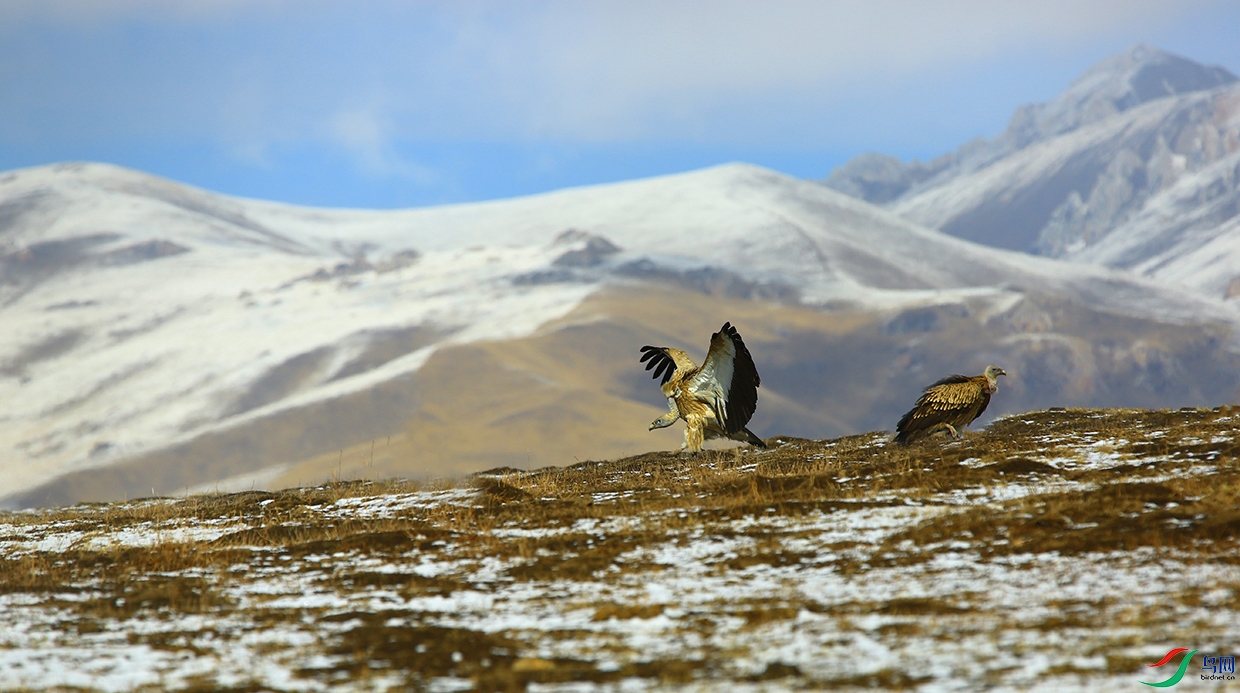 δ����-387��ɽأ��.jpg