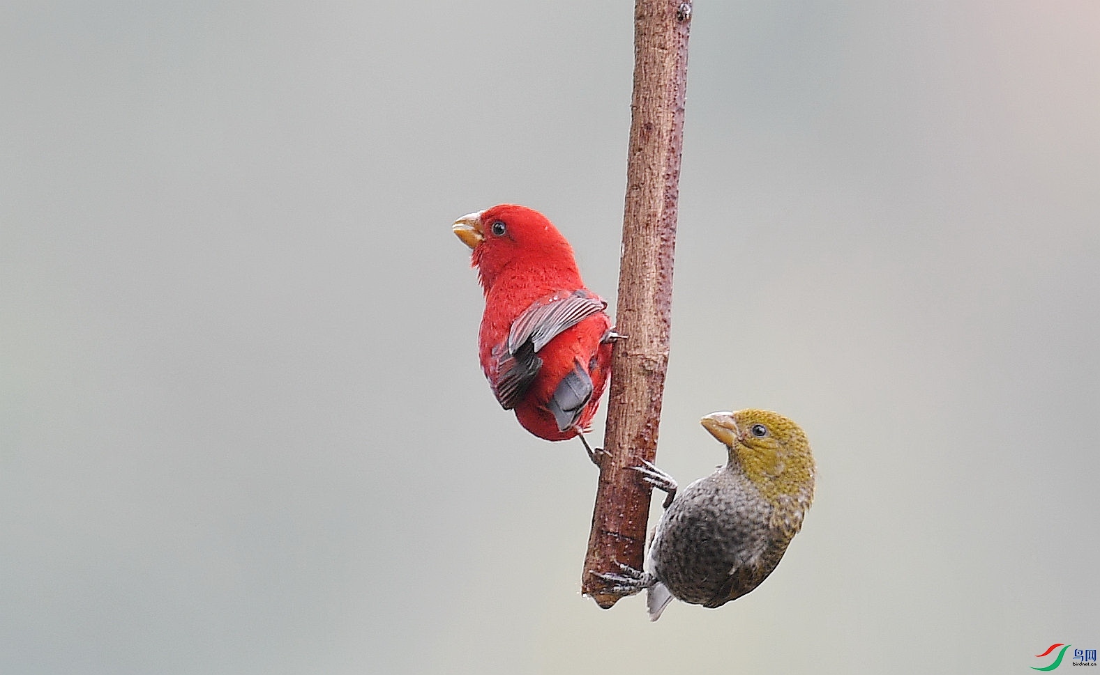 DSC_8096_����.jpg