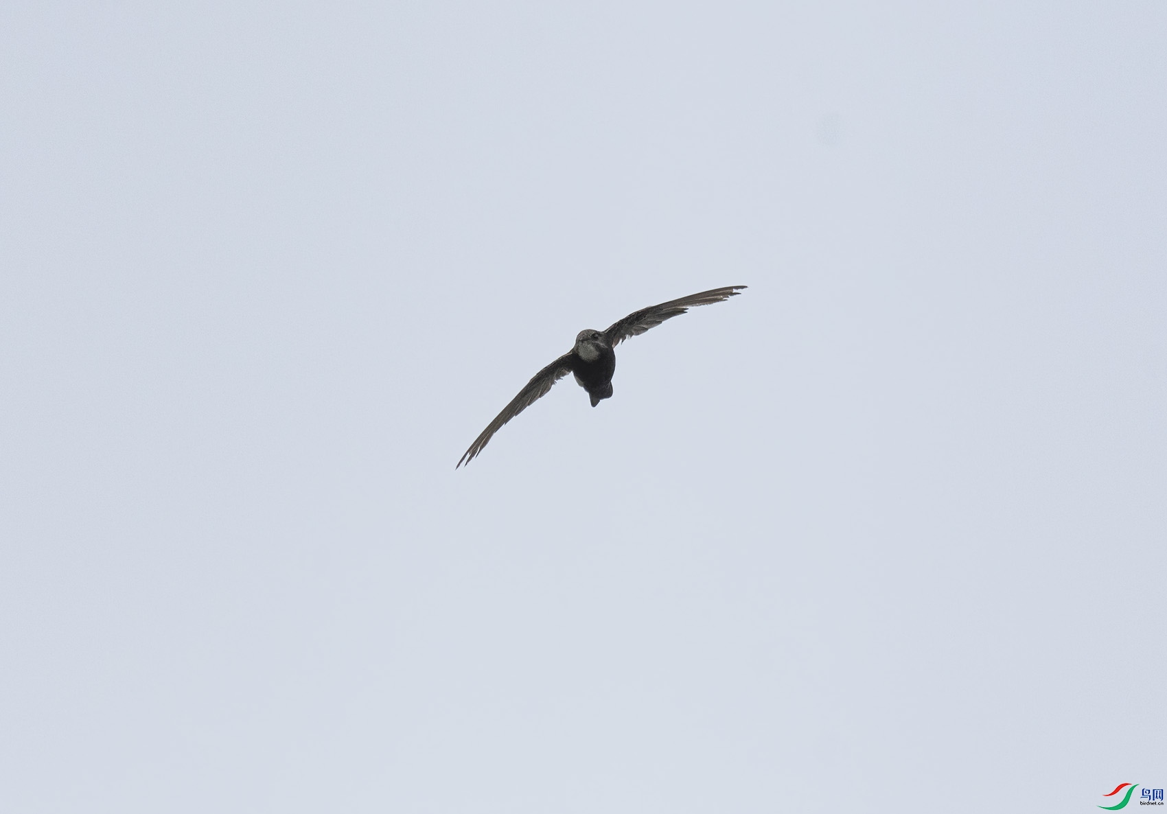 DSC_8567.jpg