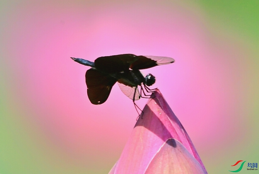 PicsArt_07-10-05.26.27.jpg