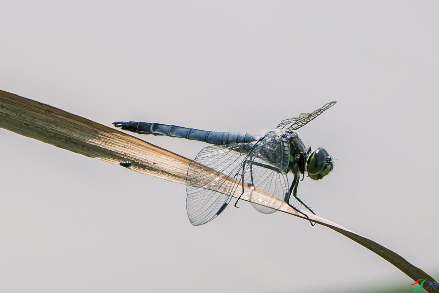 DSC_0035.jpg