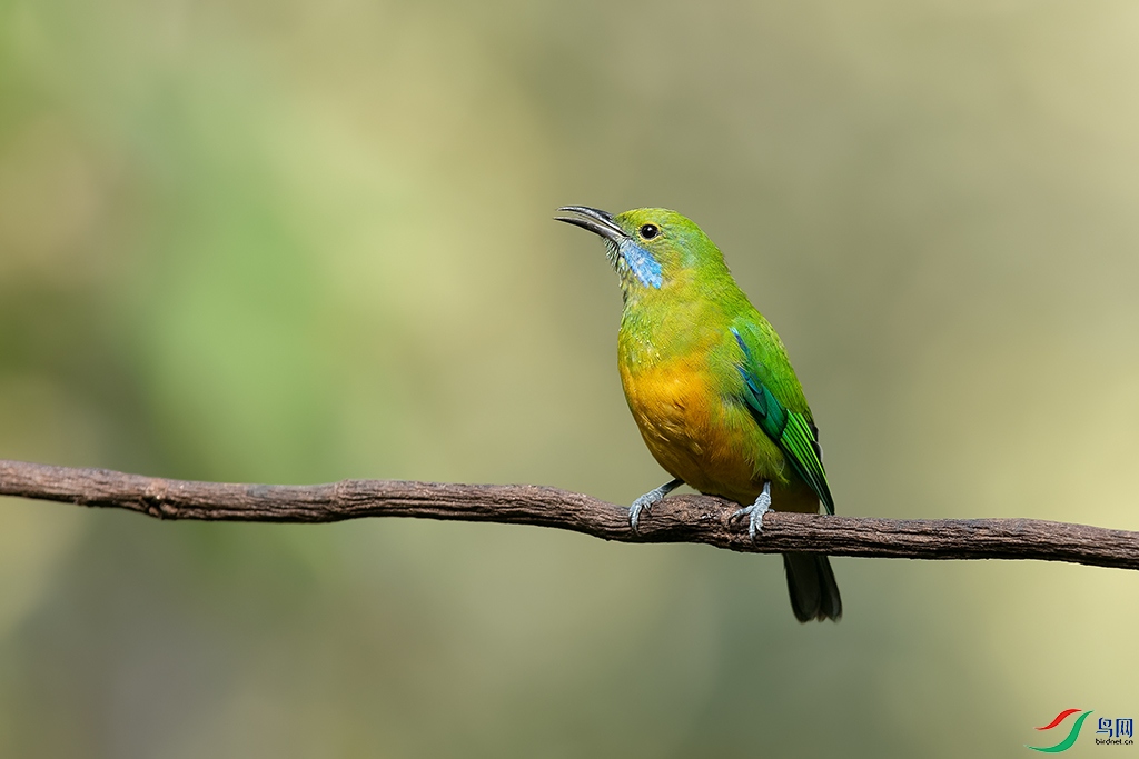 DSC_4816_DxOa.jpg