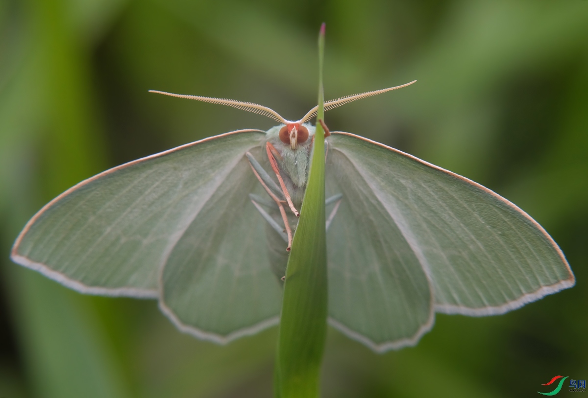 DSCF4915.jpg