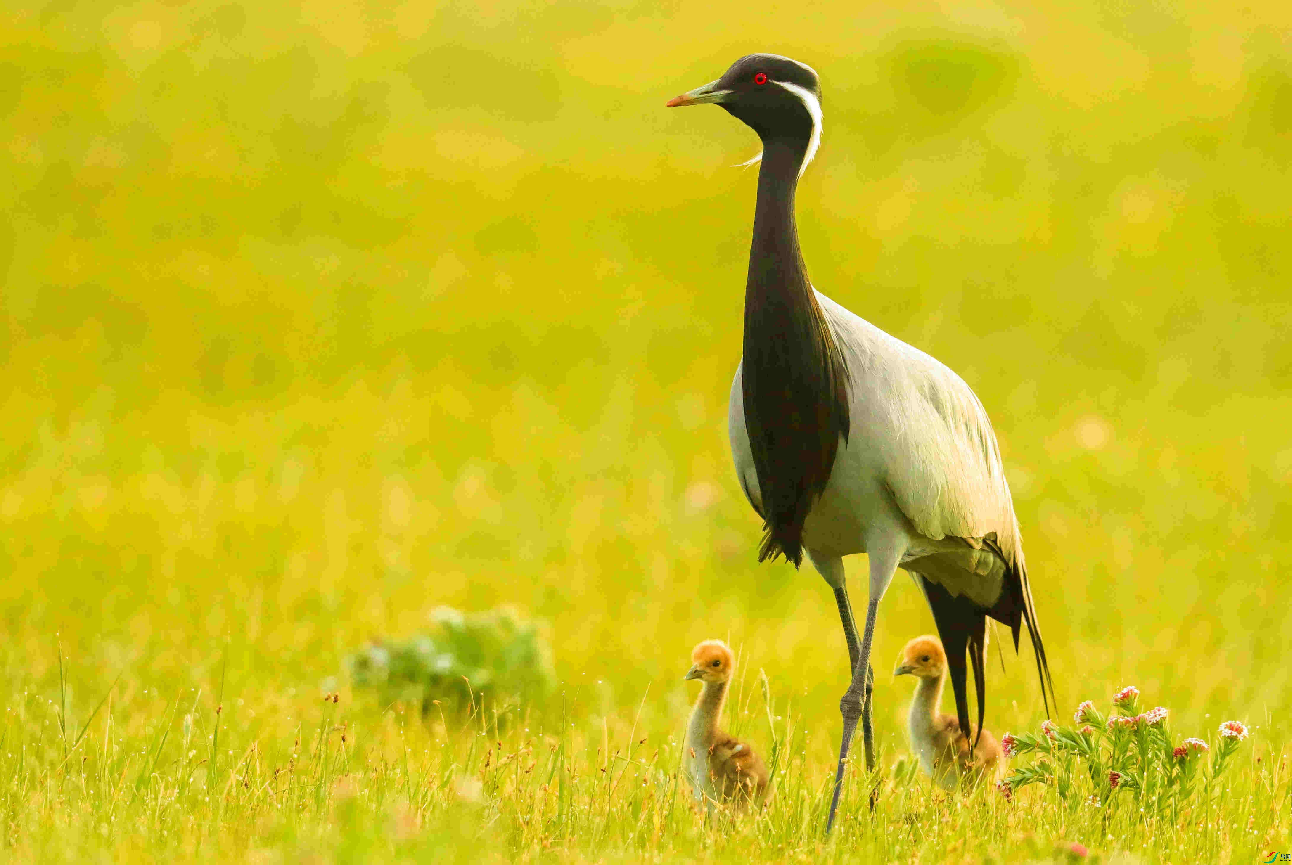 ���С�� (1 - 1).jpg