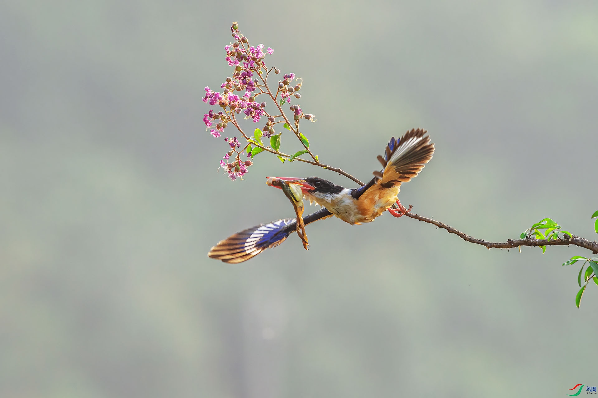 _DSC6695 ����.jpg