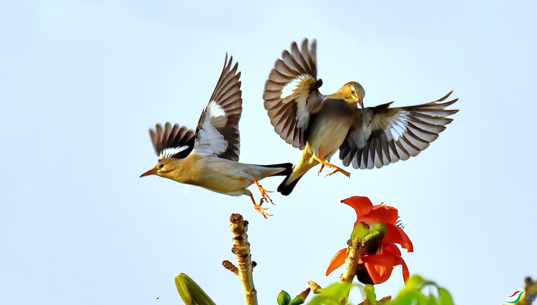 DSC_6754a.JPG