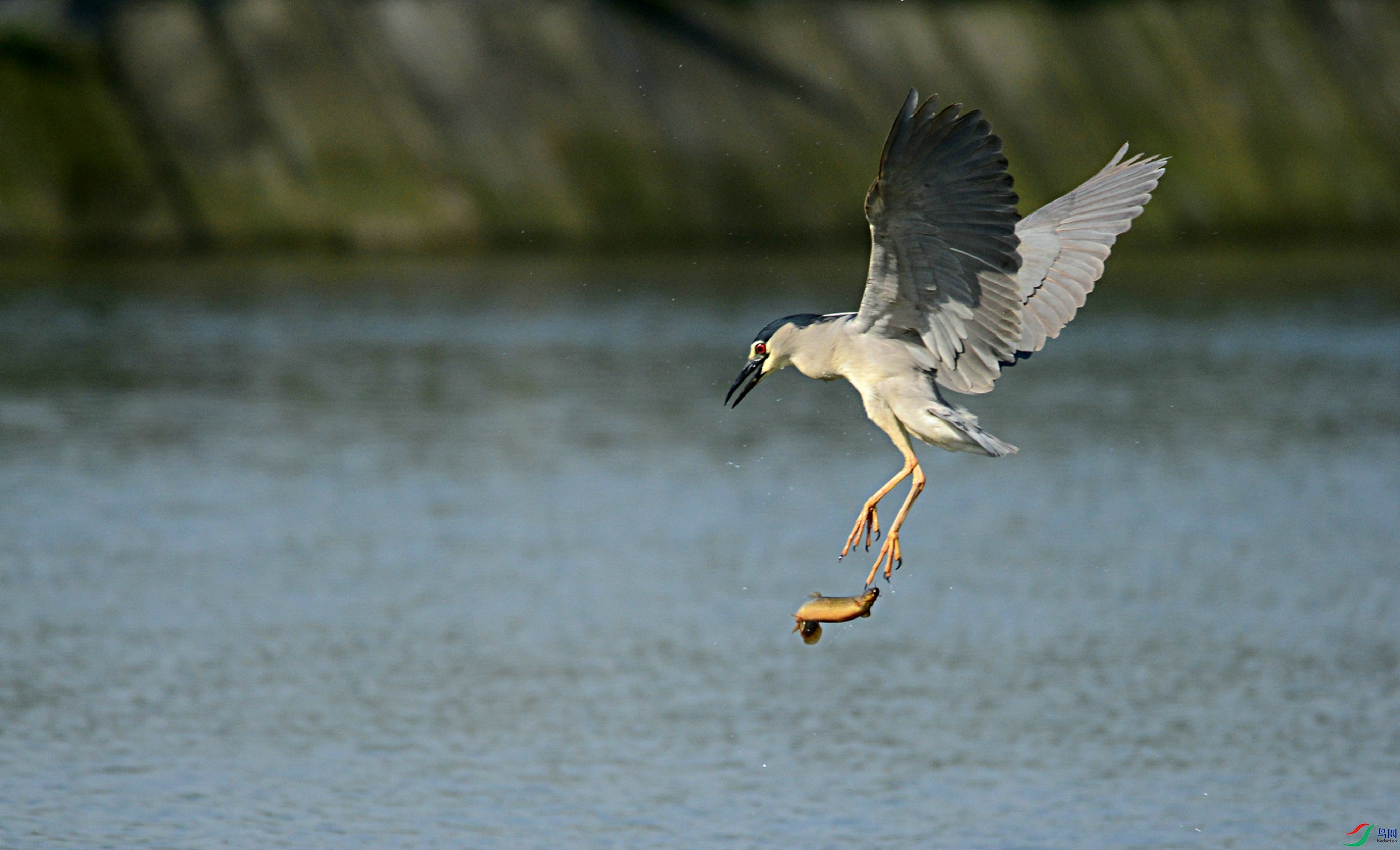 DSC_3256.jpg