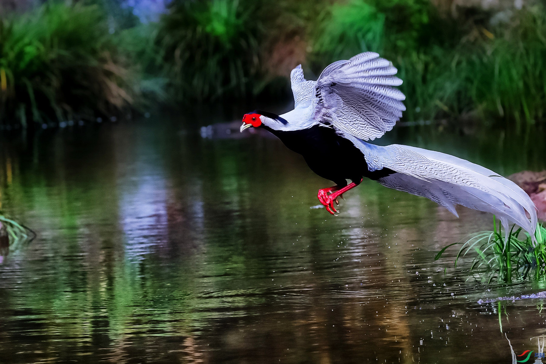 AG4I9371-2-3 (2).jpg