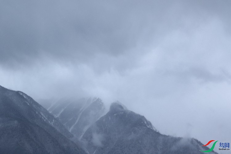 0S2A0740.JPG
