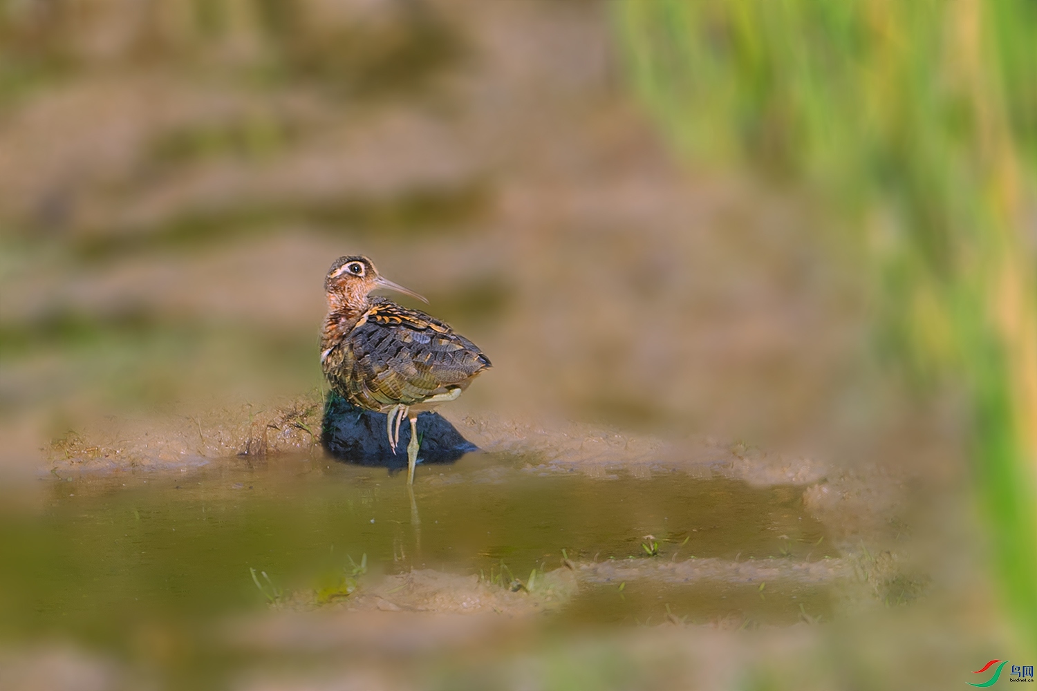 DSC_7767-2.jpg