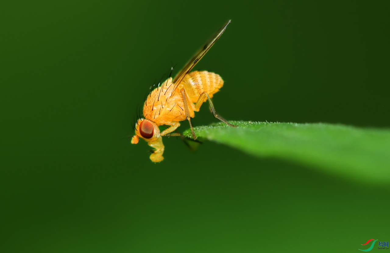 DSC_1563 ��������.jpg