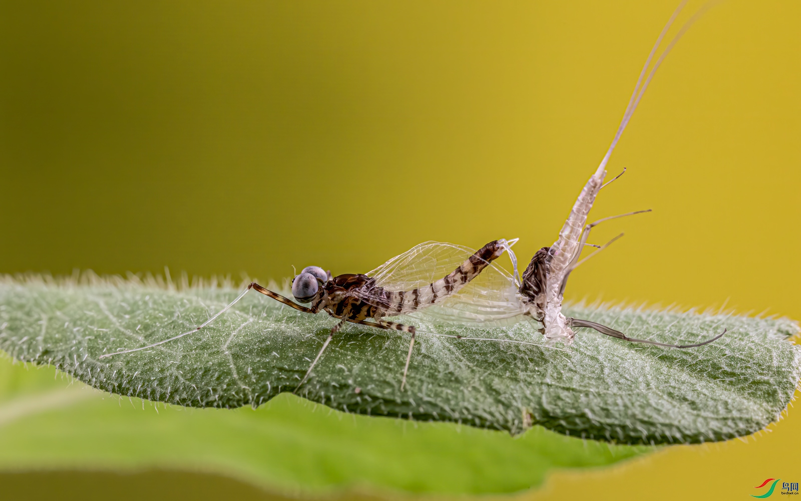 E50A7452.jpg