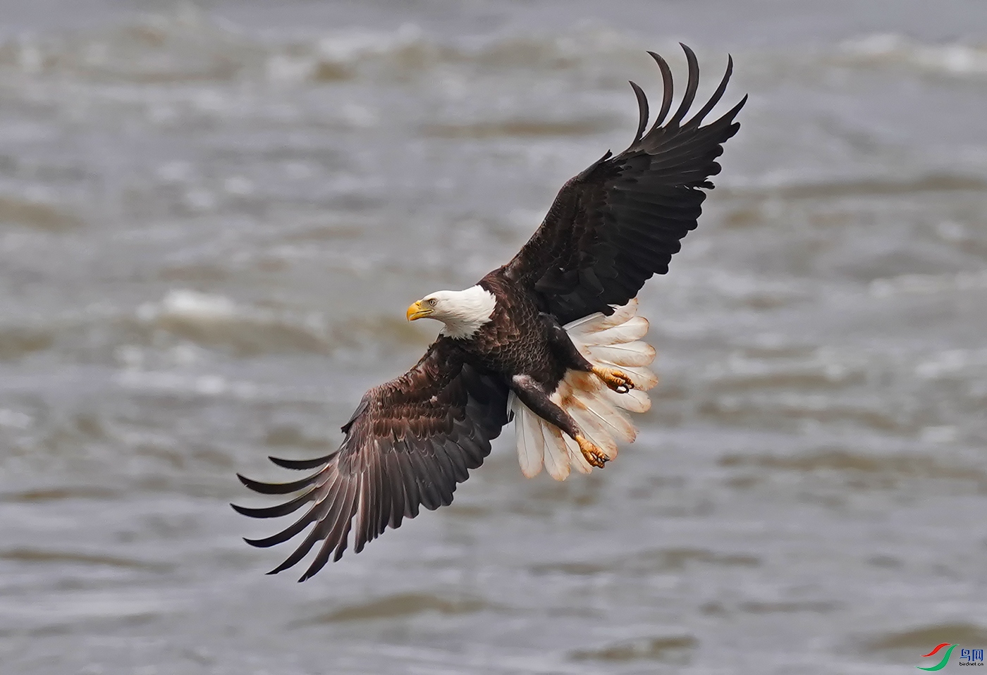 DSC03265----.jpg