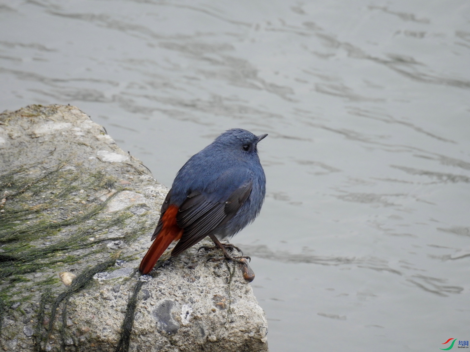 DSCN6762.JPG