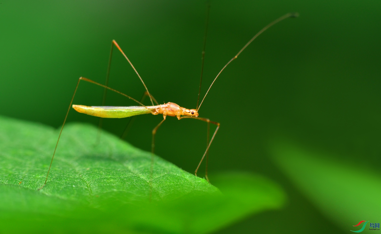 DSC_7877 ����.jpg