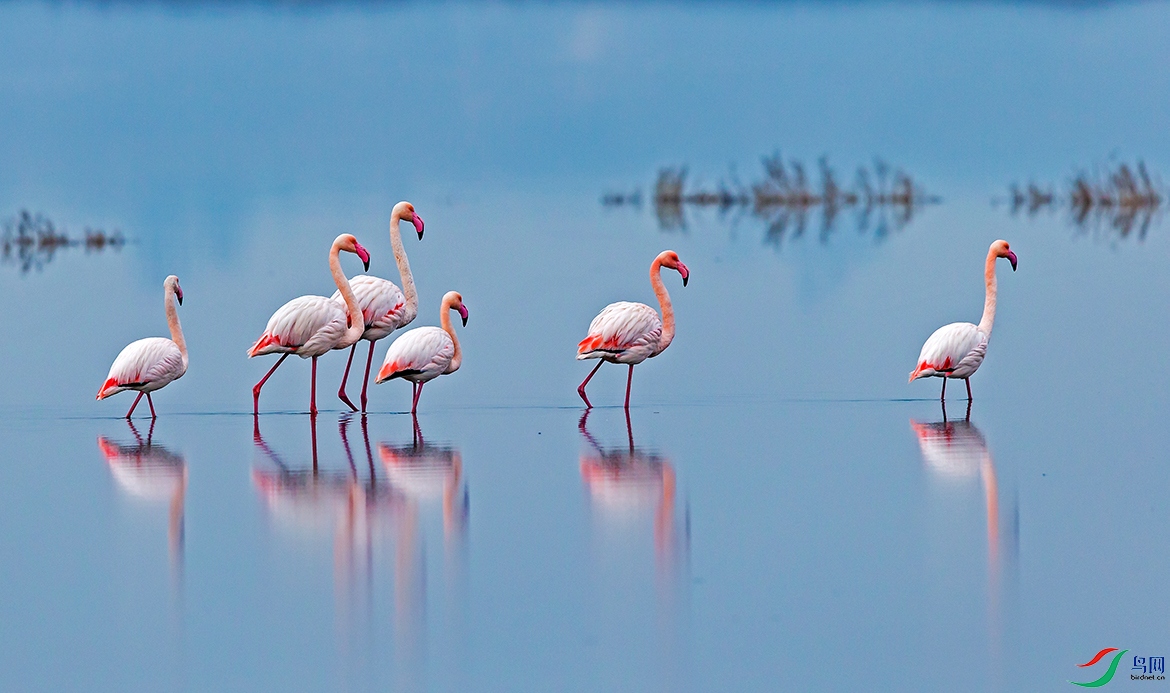 ���������ÿ�