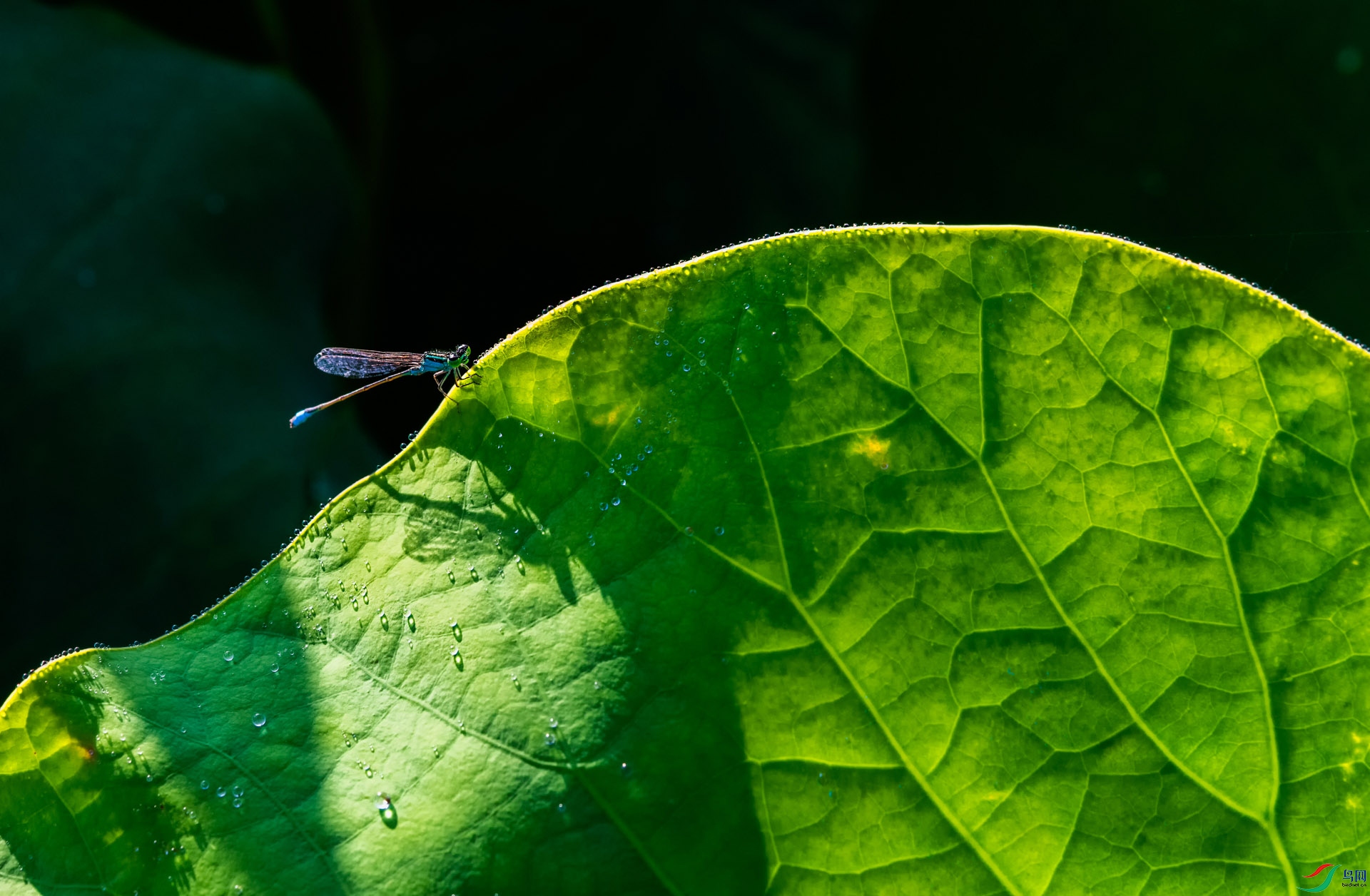 DSC_1667.jpg